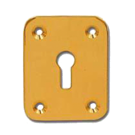 DORTREND 2151 Front Fix Escutcheon